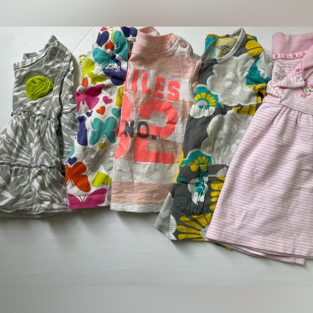 Girls clothing bundle (5 items) tops and dress -Carter’s size 12 mo